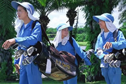 caddies
